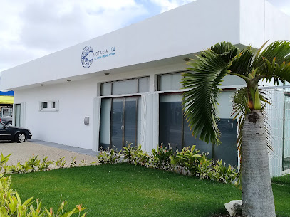 Dirección, horario, teléfono y opiniones de Notaría 104 en Playa del Carmen