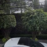 Dirección, horario, teléfono y opiniones de Notaría 151 en Álvaro Obregón