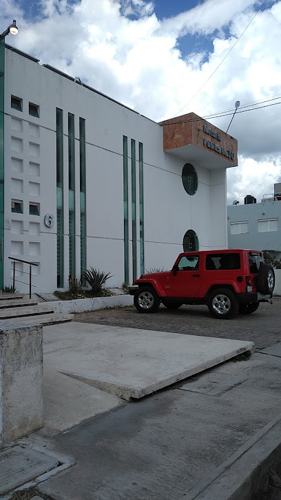 Dirección, horario, teléfono y opiniones de Notaría 30 en Campeche