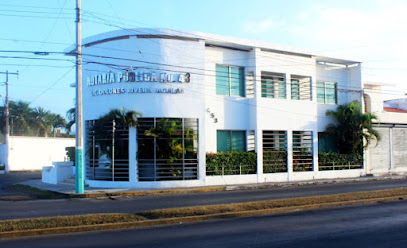 Dirección, horario, teléfono y opiniones de Notaría 43 en Chetumal