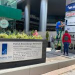 Dirección, horario, teléfono y opiniones de Notaría 59 en Miguel Hidalgo