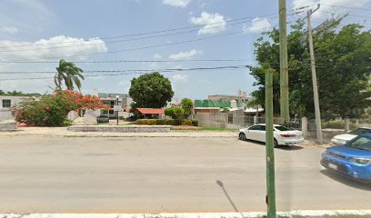 Dirección, horario, teléfono y opiniones de Notaría 7 en Campeche