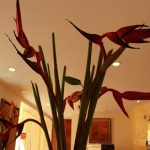 Dirección, horario, teléfono y opiniones de Notaría 1 en Tepic