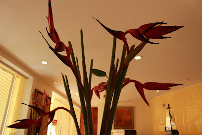 Dirección, horario, teléfono y opiniones de Notaría 1 en Tepic