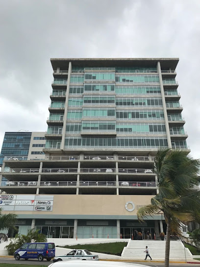 Dirección, horario, teléfono y opiniones de Notaría 117 en Cancún