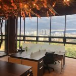 Dirección, horario, teléfono y opiniones de Notaría 118 en Naucalpan