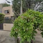 Dirección, horario, teléfono y opiniones de Notaría 12 en Guadalajara