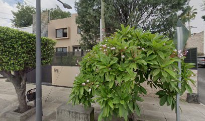 Dirección, horario, teléfono y opiniones de Notaría 12 en Guadalajara