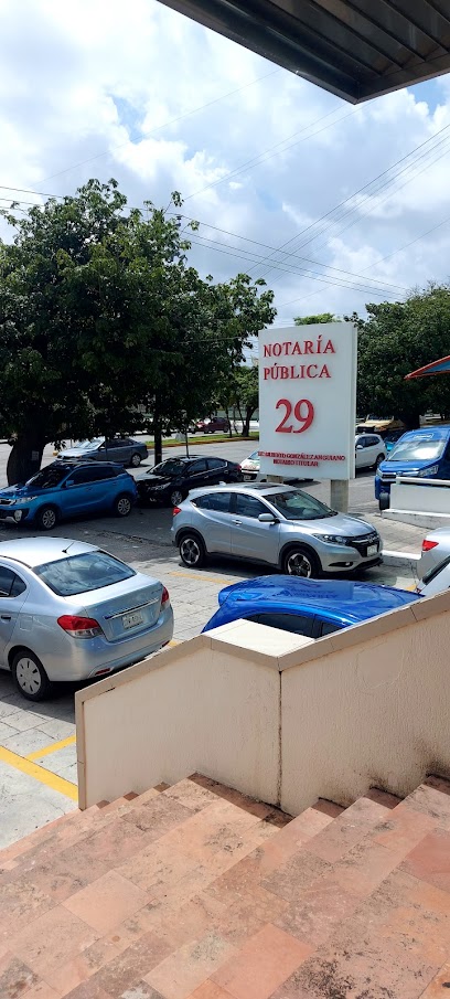 Dirección, horario, teléfono y opiniones de Notaría 29 en Cancún