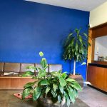 Dirección, horario, teléfono y opiniones de Notaría 43 en Guadalajara